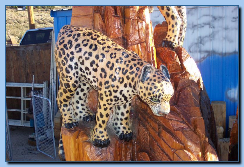 2-07 leopards-archive-0007